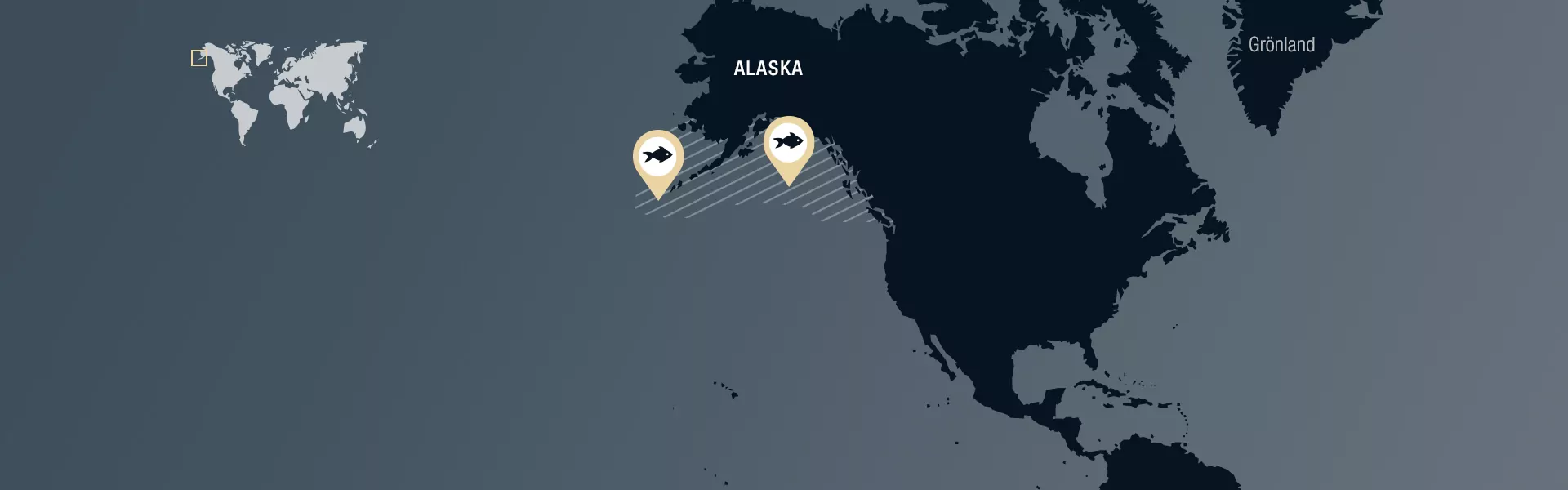 Nordostpazifik (Alaska, FAO 67) gefangen mit Kiemennetzen du vergleichbaren Netzen.